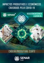 Impactos produtivos e econômicos causados pela Covid-19 - Cadeia produtiva: Corte