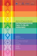 Programa Modular: emprendimientos para pueblos indígenas